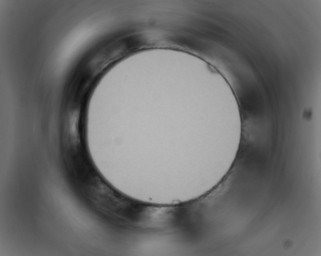 X0000100851150200807070927