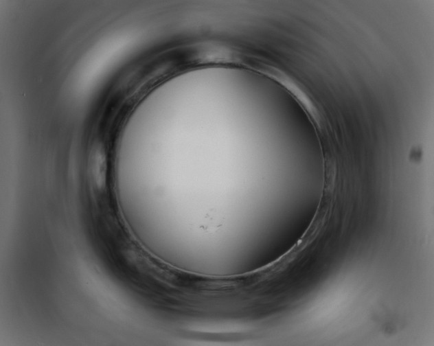 X0000100851151200807070927