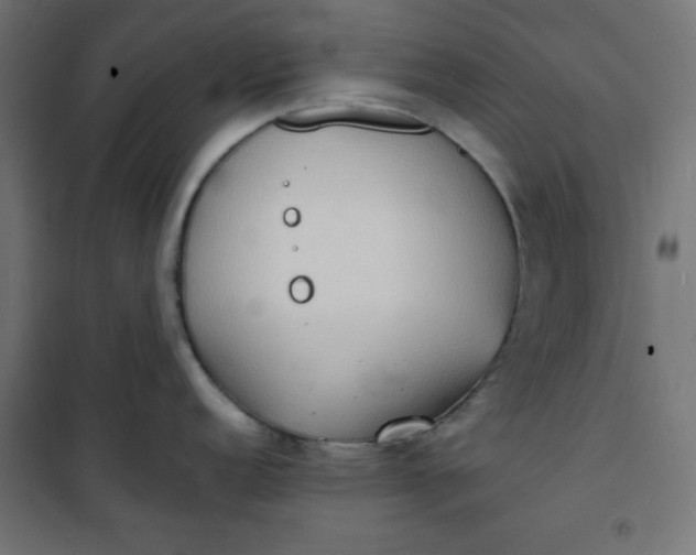 X0000100851152200807070927