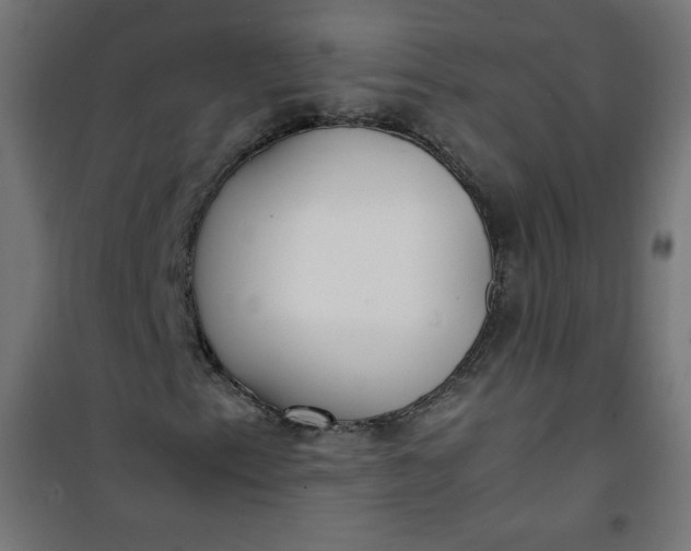 X0000100851153200807070926