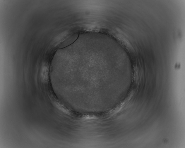 X0000100851154200807070926