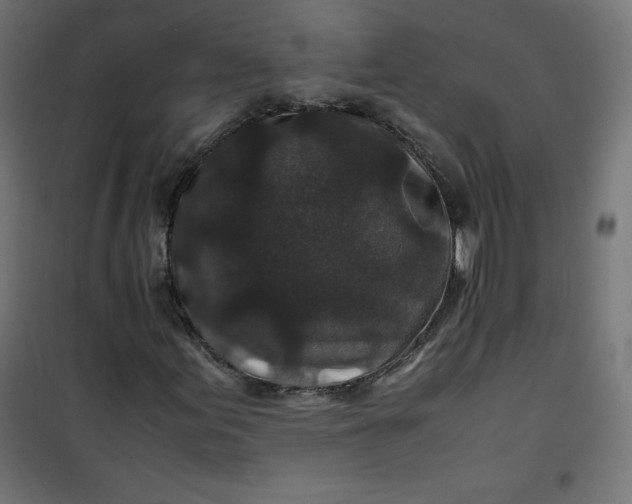 X0000100851155200807070926