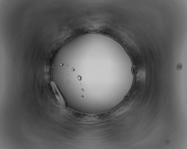 X0000100851156200807070926