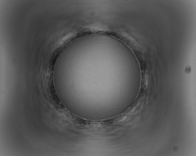 X0000100851157200807070926