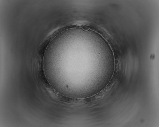 X0000100851158200807070926