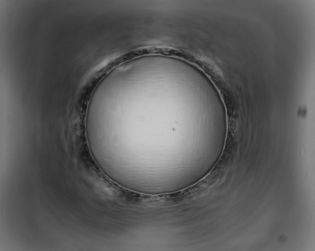 X0000100851159200807070926