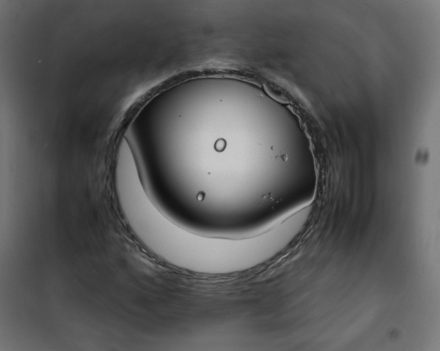 X0000100851160200807070926