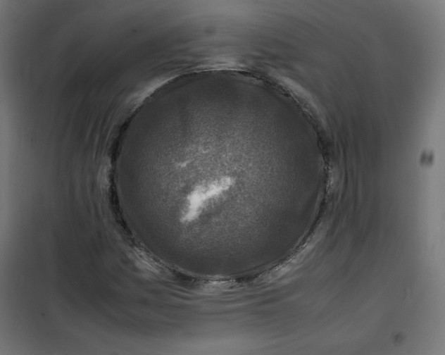 X0000100851161200807070926