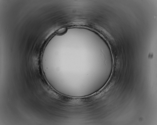 X0000100851162200807070926