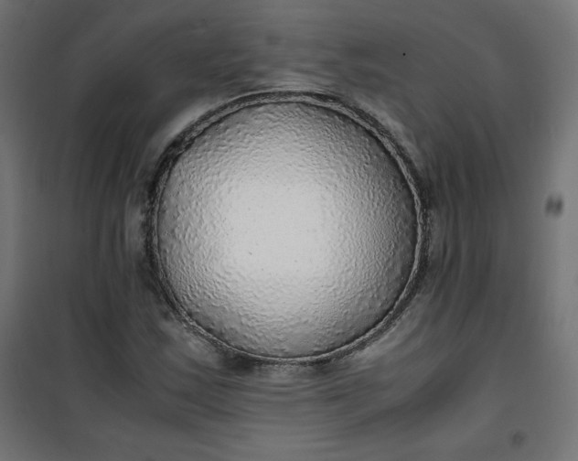 X0000100851163200807070926