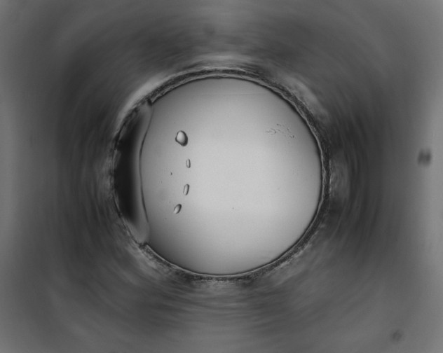 X0000100851164200807070926