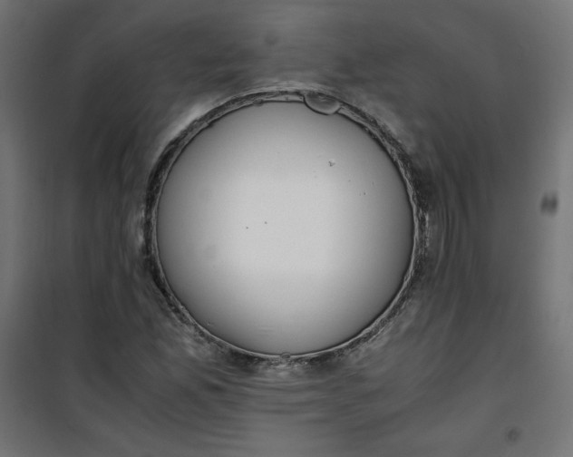 X0000100851165200807070926