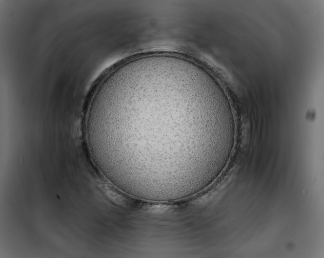 X0000100851166200807070926