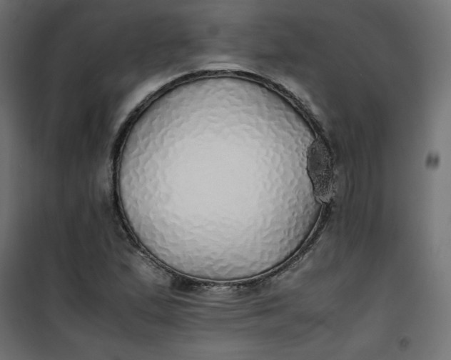 X0000100851167200807070926