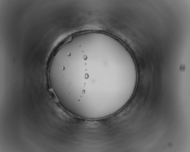 X0000100851168200807070926