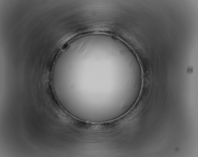 X0000100851169200807070926