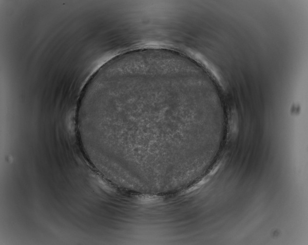 X0000100851170200807070926