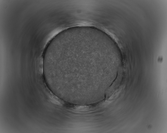 X0000100851171200807070926