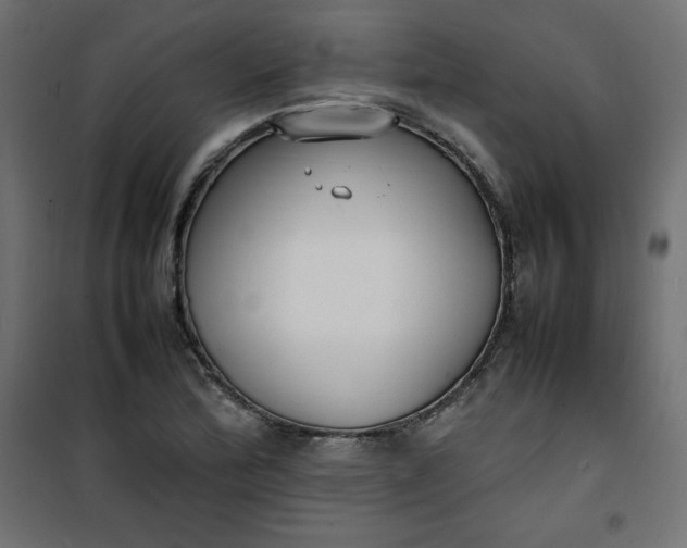 X0000100851172200807070926