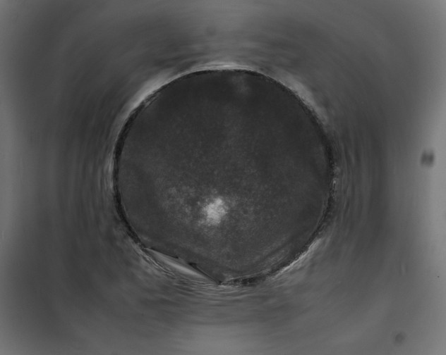 X0000100851173200807070926