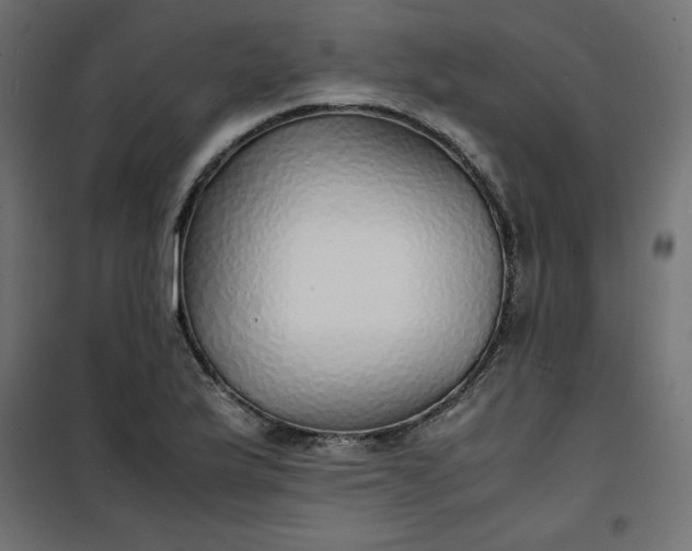 X0000100851175200807070926