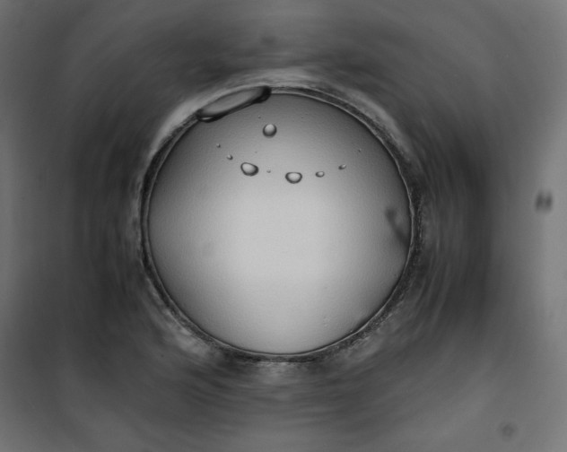 X0000100851176200807070926