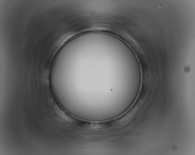 X0000100851177200807070926