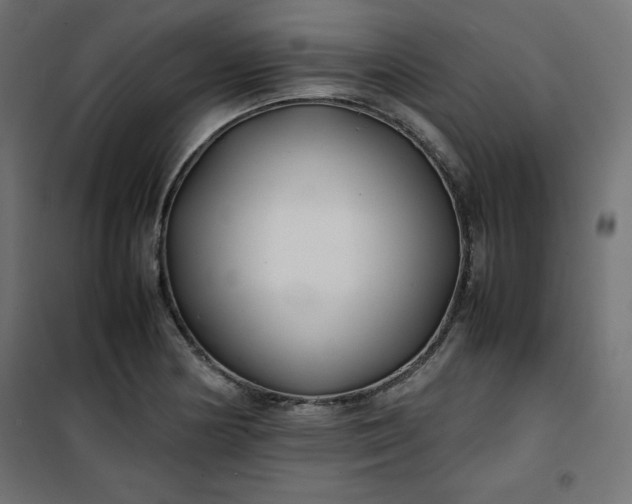 X0000100851178200807070926