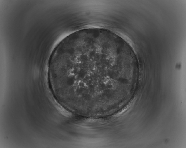 X0000100851179200807070926