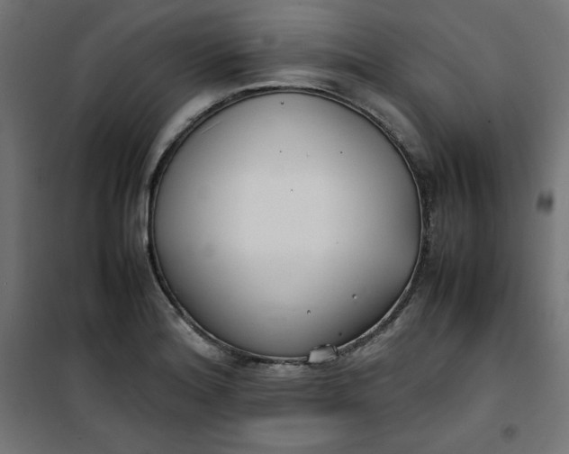 X0000100851180200807070926