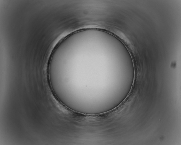 X0000100851181200807070926