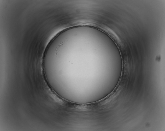 X0000100851182200807070926