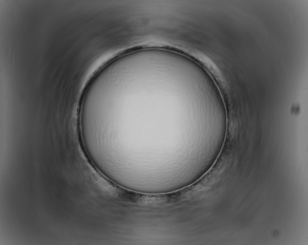 X0000100851183200807070926