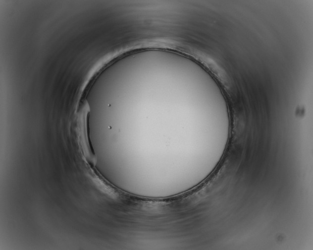 X0000100851184200807070926