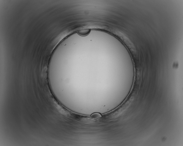 X0000100851185200807070926