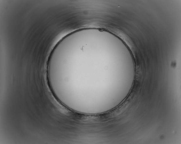 X0000100851187200807070925