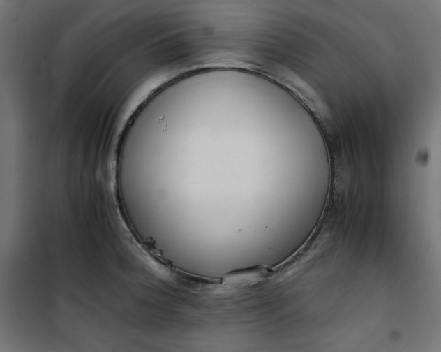 X0000100851188200807070925