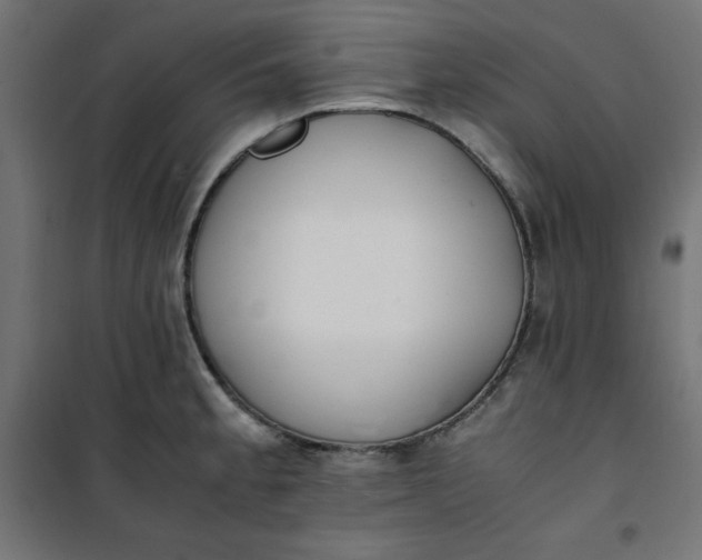 X0000100851189200807070925