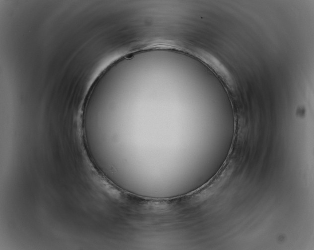 X0000100851190200807070925