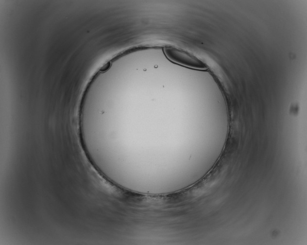 X0000100851191200807070925