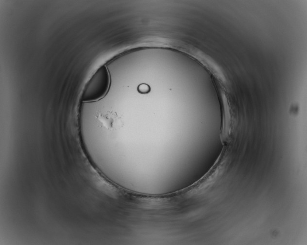 X0000100851192200807070925