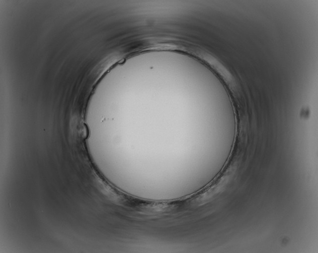 X0000100851193200807070925