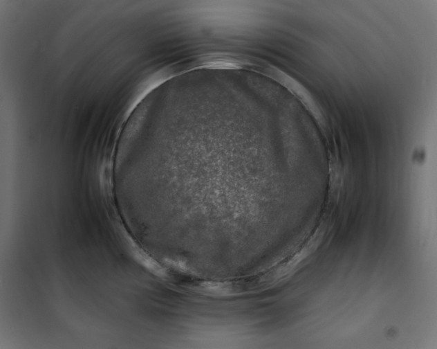 X0000100851194200807070925