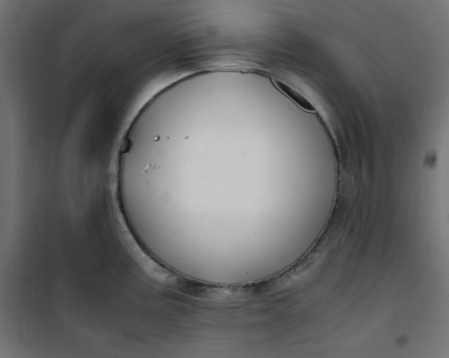 X0000100851195200807070925