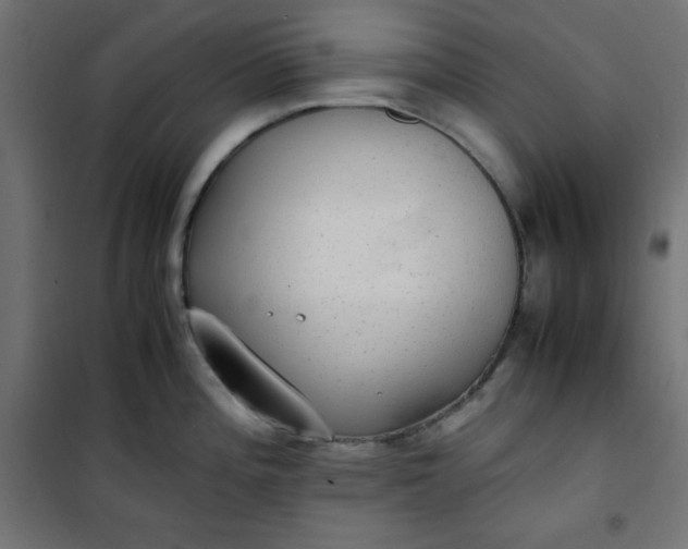 X0000100851196200807070925