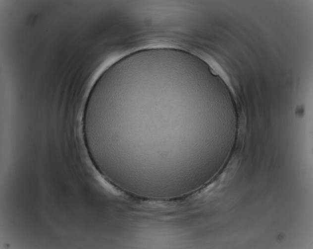 X0000100851197200807070925