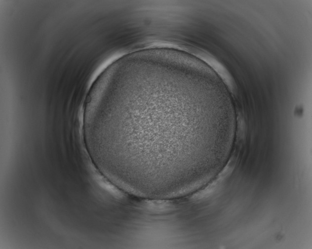 X0000100851198200807070925