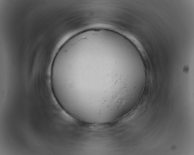 X0000100851199200807070925