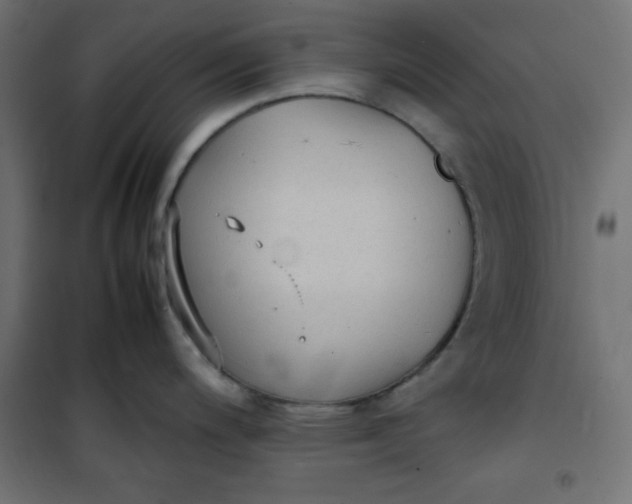 X0000100851200200807070925