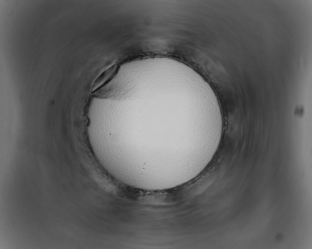 X0000100851201200807070924